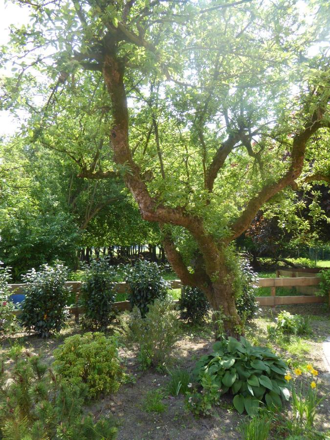 Ferienwohnung Elise Im Gulfhof Am Kanal Grossefehn Εξωτερικό φωτογραφία
